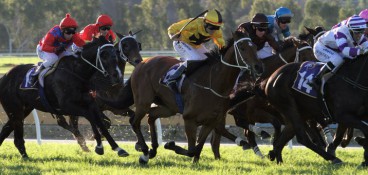 AJ Scahill Stakes Preview